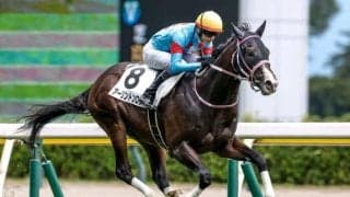 【AI予想・シンザン記念】前走での人気や距離に注意！ 人工知能は重賞好走馬を高評価