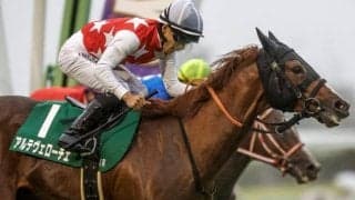 【シンザン記念予想オッズ】アルテヴェローチェが予想1番人気