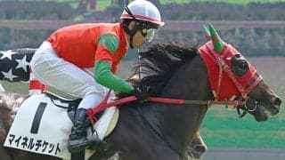 【シンザン記念想定騎手】マイネルチケットは戸崎圭太騎手、マイエレメントは坂井瑠星騎手