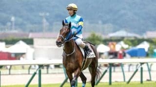 【フェアリーS展望】好走傾向にマッチするミーントゥビーに注目