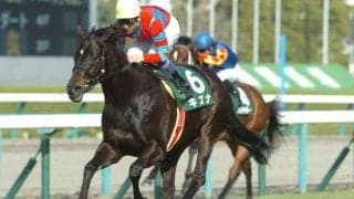 2024年の総合リーディングサイアーに輝いた「キズナ」 活躍の理由は条件を問わない万能性にあり