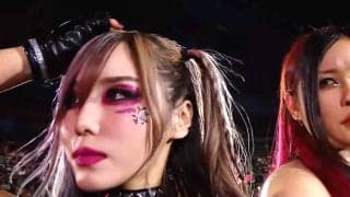 襲撃された日本人女子スーパースター、術後に“美すっぴん”笑顔で無事を報告