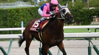 【日経新春杯想定】メイショウタバル、ヴェローチェエラなど18頭