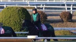 ダノンフェアレディなど、年末年始の入厩情報/栗東トレセンニュース