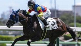 デビュー15年目を迎えた中堅 悲願の重賞制覇へ師弟コンビでフェアリーS参戦