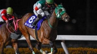 【浦和・ニューイヤーC結果】ホーリーグレイルが好位から抜け出して重賞初制覇