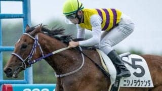 【フェアリーS予想】伏兵の好走目立つレース AIの推奨は距離延長ながらも実績上位の一頭