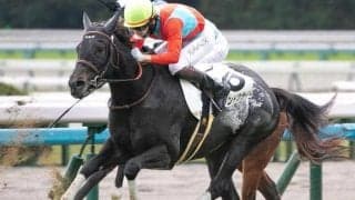 ダービー馬の父に産駒初重賞制覇を届けるか キスアンドクライがフェアリーSで一発狙う