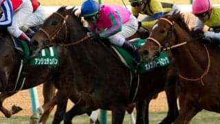 【フェアリーS】16頭全て収得賞金400万円の1勝馬 オープン馬ゼロで開催された11年前