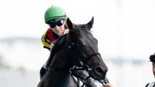 昨年の札幌2歳S覇者マジックサンズが故障 3カ月以上の休養要す見込み