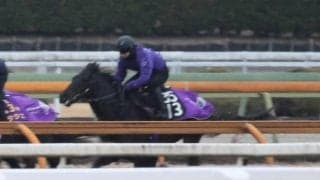 パーティハーンなど、京成杯1週前追い切り速報/栗東トレセンニュース