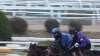 サトノグランツなど、日経新春杯1週前追い切り速報/栗東トレセンニュース