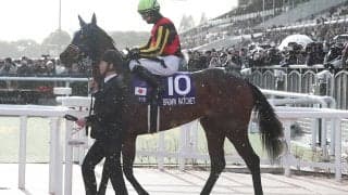 桜花賞とオークスの勝ち馬を識者が大胆予想！　阪神JF敗戦組からの巻き返しはあるか
