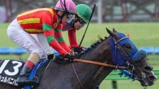 アロゲート産駒の“砂の大物候補” ポルックスSで4連勝なるか