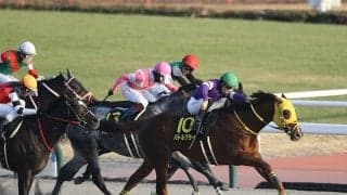 重賞3着2度の実績馬が完全復活へ オープン初Vの舞台と鞍上を背に2年ぶり白星狙う
