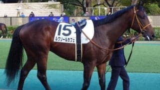 フェブラリーS連覇カフェファラオの全弟 ダート三冠を目指し連勝狙う