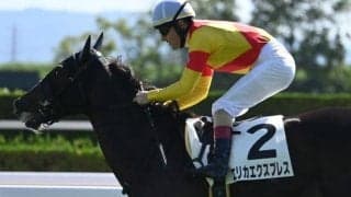 【フェアリーS枠順確定】エリカエクスプレスは6枠12番、レイユールは4枠8番