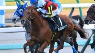 中山芝はCコース替わりで内＆前有利 アレグロブリランテの粘り込みだ