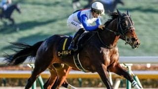 【日経新春杯想定馬・騎手】ロードデルレイ、バトルボーンなど19頭