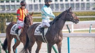 無敗の三冠牝馬デアリングタクトの全妹 春の大舞台に向け初白星を掴めるか