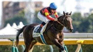 【京成杯想定馬・騎手】キングノジョー、パーティハーンなど15頭