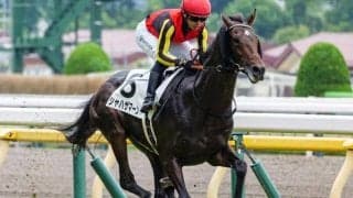 シャフリヤール＆アルアインの半弟 土曜中京で待望の初勝利なるか