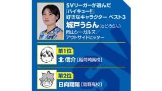 【ハイキュー‼×SVリーグ】岡山シーガルズ城戸うらんのバレー人生は紆余曲折　日向翔陽のひたむきさを見て「自分も諦めんとこう」