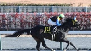 【すばるS結果】フリームファクシが人気に応えて3馬身差V