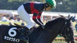 フェアリーSは先行激化!? ホウオウガイアの差し切りだ