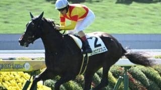 【フェアリーS予想】地元のアドバンテージを活かせる関東馬が圧倒！ 劣勢の関西馬に求められる好走条件とは