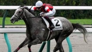 7戦1勝ながら複勝率100％ 重賞ウイナーの全弟が連勝狙う