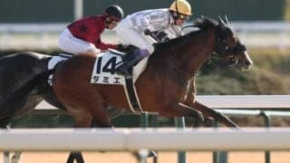 【中京4R】武豊ダミエがが人気に応える