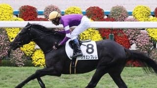 【競馬血統予想】シンザン記念で期待の２頭は？　種牡馬として評価上昇中のキズナ、アドマイヤマーズの血に注目