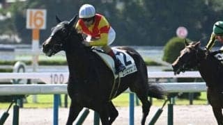 【フェアリーS予想】荒れるレースのターゲットタイプとは？ 過去データで探るGIIIフェアリーS