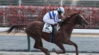 【中京5R新馬戦結果】ナダル産駒ナンヨーパワフルが抜け出し快勝