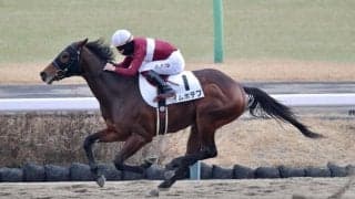 【新馬/中山4R】ニューイヤーズデイ産駒 イムホテプが9馬身差圧勝