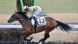 【中山2R】マーカンド騎乗 サムシャインが9馬身差圧勝…ルヴァンスレーヴ産駒
