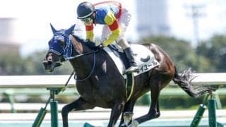 【フェアリーS・馬体重】レイユールは416kg(0)、ティラトーレは488kg(+2)