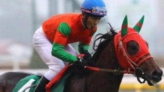 中京芝は圧倒的に内有利 シンザン記念は最内マイネルチケットで勝負だ