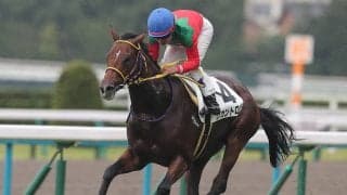 【競馬予想】シンザン記念は好配当狙いが吉！　過去の激走馬と類似する３頭の穴馬