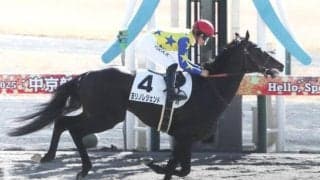 【中京4R新馬戦結果】ダノンレジェンド産駒ヨリノレジェンドが人気に応えてV