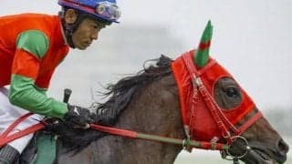 中京芝は内枠有利 シンザン記念はマイネルチケット＆リラエンブレムに注目