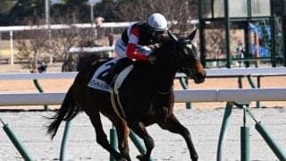 【中京5R新馬戦結果】エピファネイア産駒トワイライトシティが内から抜け出しV