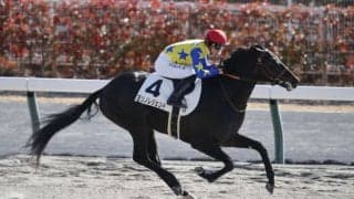 【新馬/中京4R】ダノンレジェンド産駒 ヨリノレジェンドがデビューV