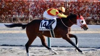 【中京8R】超良血グラヴィスがダート戦で初勝利