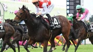 中京で日経新春杯と中山で京成杯/今週の競馬界の見どころ
