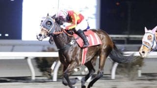 【高知・ベラトリックス特別】ミニョンが接戦を制する