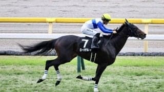 【日経新春杯登録馬】ロードデルレイなど18頭