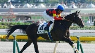 【京成杯登録馬】キングノジョーなど15頭