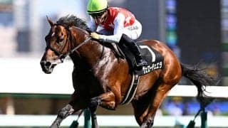 【日経新春杯想定騎手】ヴェローチェエラは川田将雅騎手、ホールネスは坂井瑠星騎手